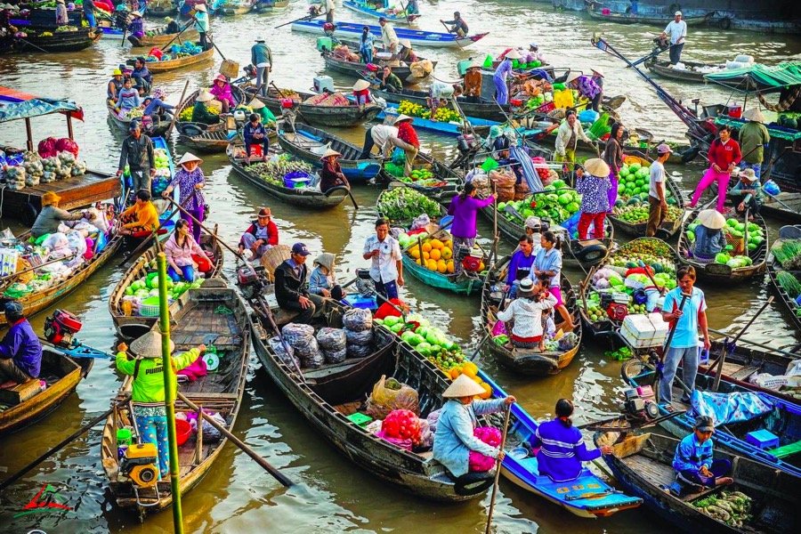Tour Mekong Delta